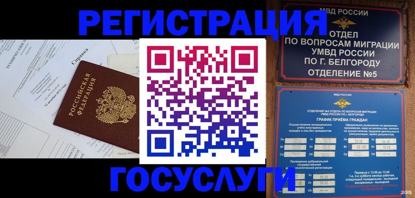 временная прописка в Новом Осколе